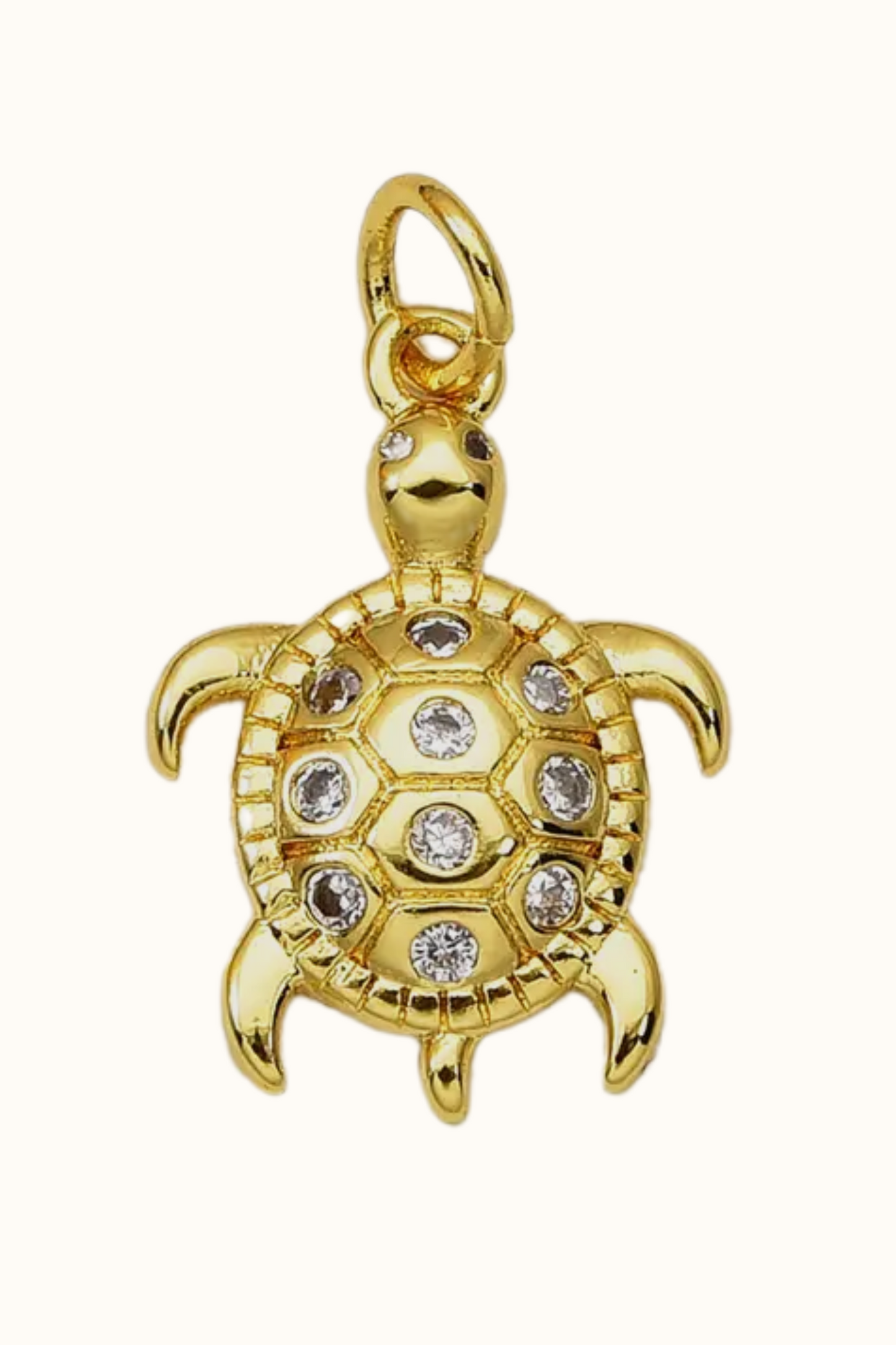 Sea Turtle Charm