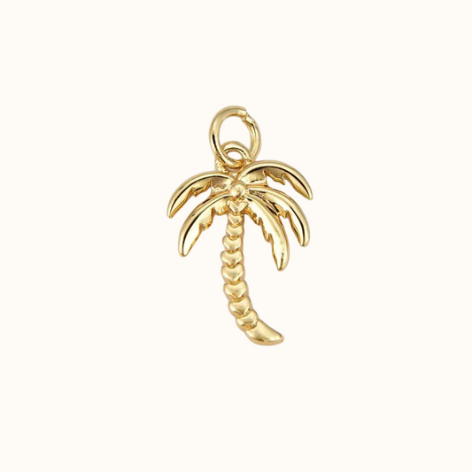 Palm Charm