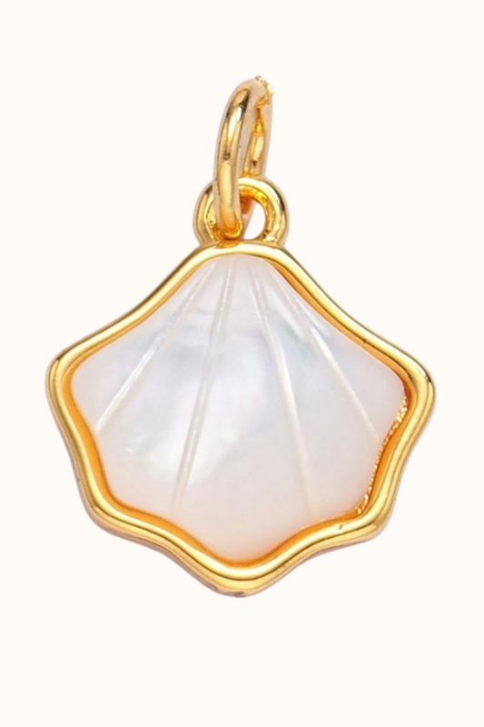 Scallop Pearl Seashell