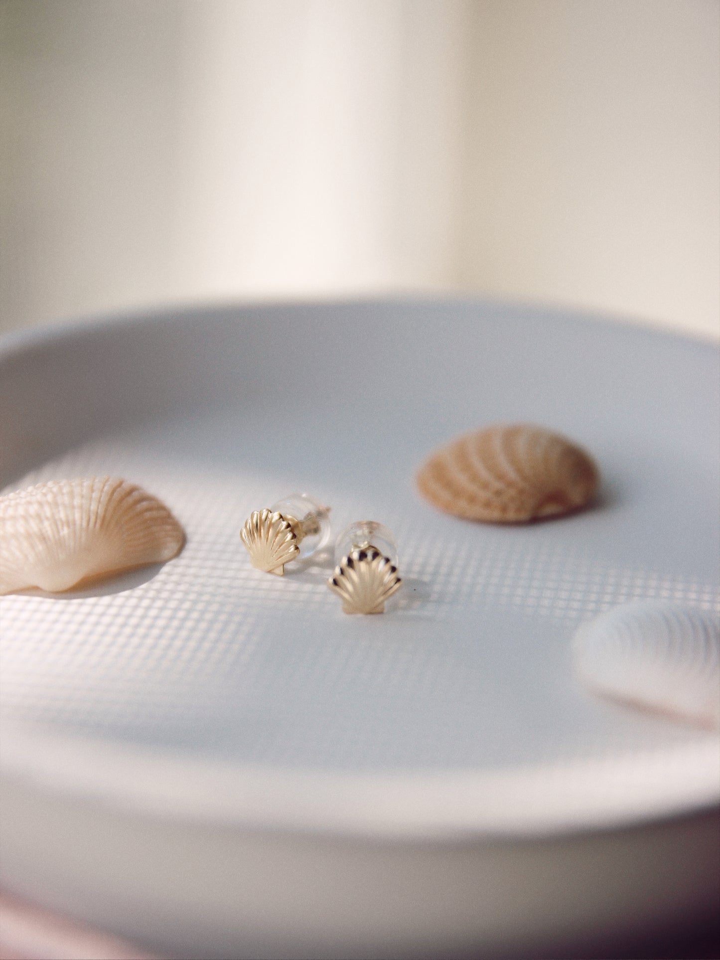 Shell Stud Earrings