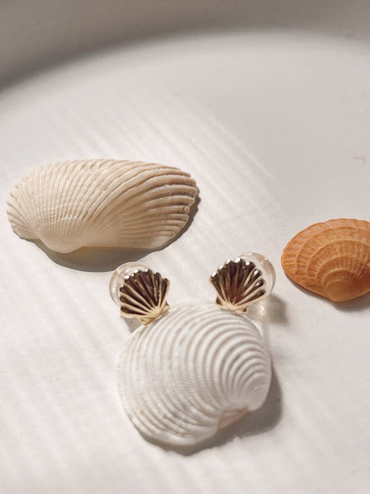 Shell Stud Earrings