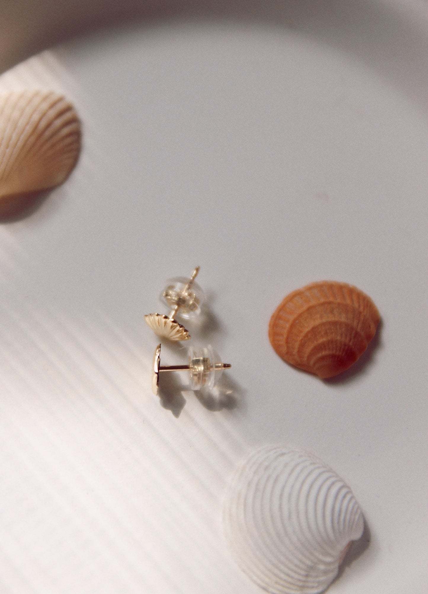 Shell Stud Earrings